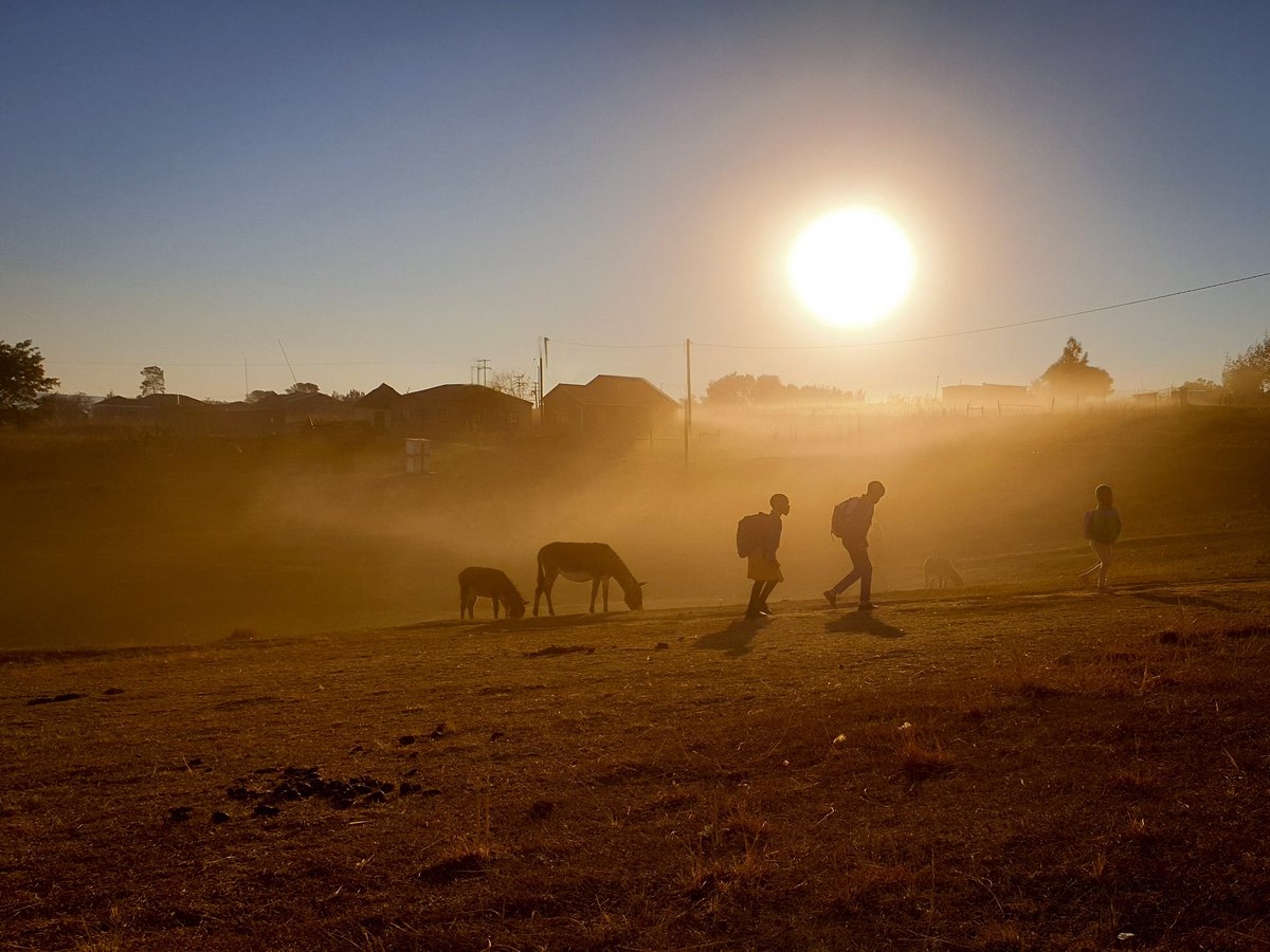 66% of children in 🇿🇦 walk to school because they have no alternative. 

Many of these children spend more than an hour walking each way.

A bicycle saves time and money. Time that can be spent to learn and play. Money that can be spent on basic necessities.

Bicycles can help.