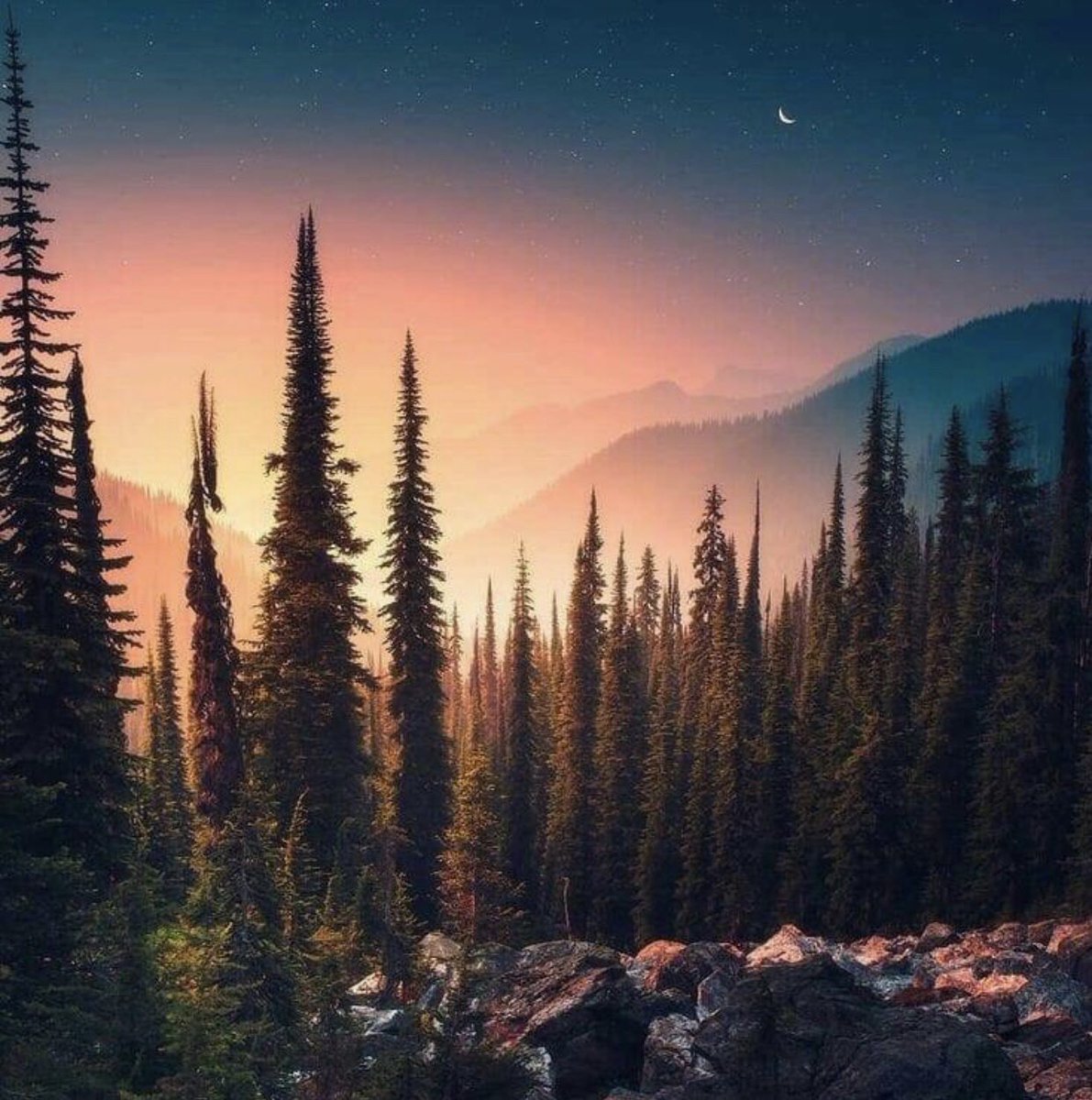 tina_baines's tweet photo. Nothing is more beautiful than the loveliness of the woods before sunrise. 

~George Washington Carver https://t.co/348nN0ChAA
