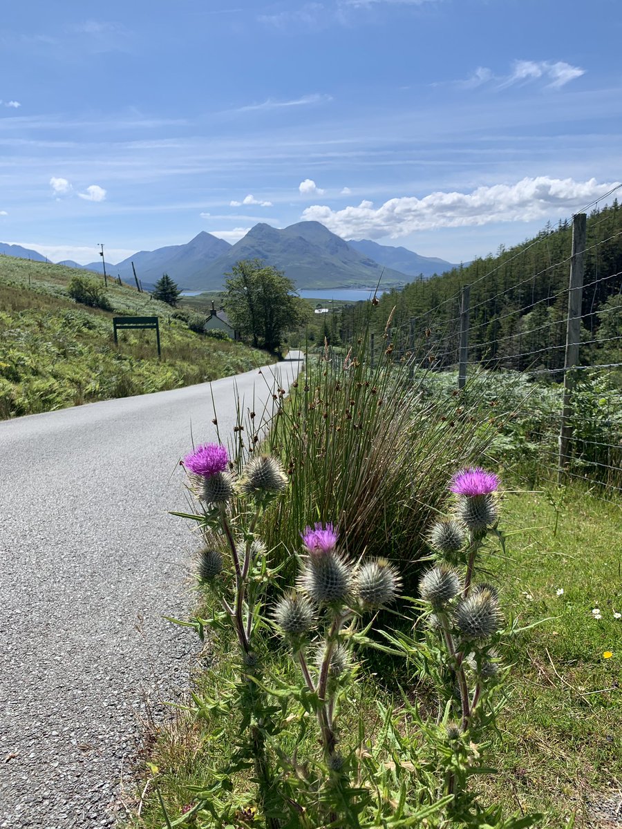 MacRaasay tweet media