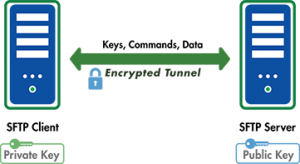 XeniusHosting's tweet photo. Gebruik je nog steeds #FTP voor het uitwisselen van gegevens. Kom alles te weten over de veilige variant #SFTP en waarom wij er zo'n fan van zijn. Lees er alles over in onze blog ! https://t.co/Ae4FNsDPx5 https://t.co/TeZBkGV1D2