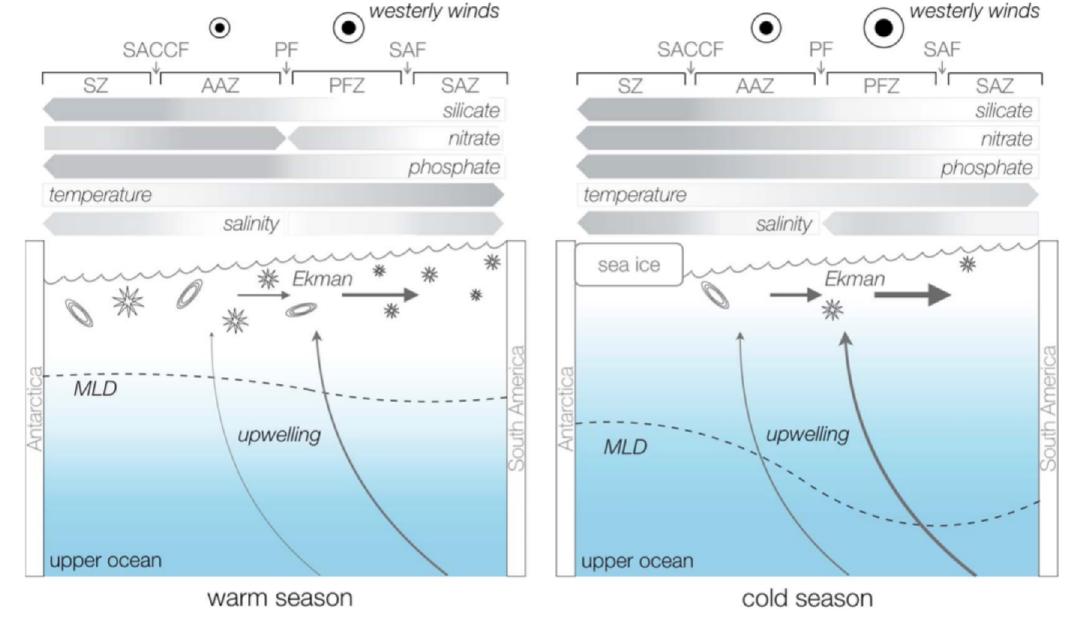 oceanatalie's tweet image. What's the longest, year-round #biogeochemical #timeseries in the #SouthernOcean? The #DrakePassageTimeseries. Yes, incl wintertime obs! We present the 1st full description of the #seasonalcycling of surface nutrients over the past 13 years! #JGROceans 🌊 agupubs.onlinelibrary.wiley.com/doi/full/10.10…