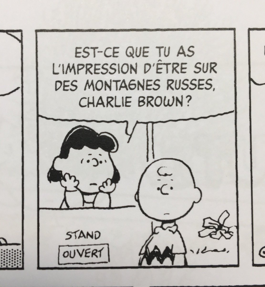 Charles M. Schulz, Charlie Brown et la vie - génie 