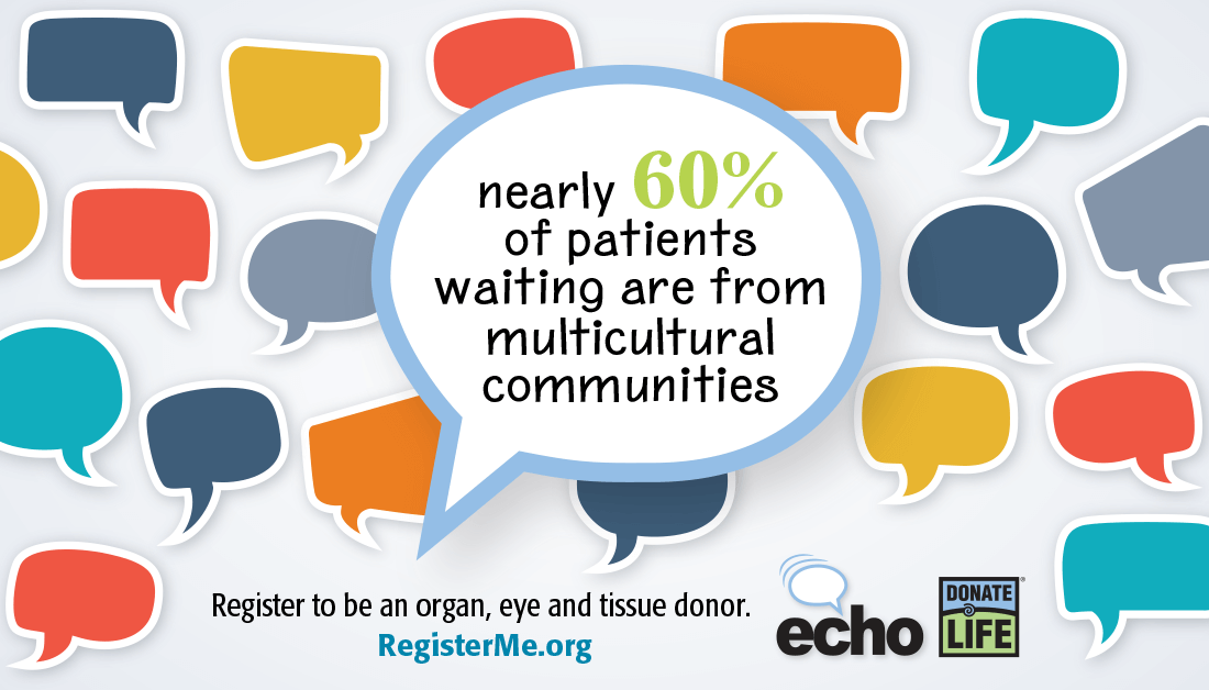 ECHO Donate Life is an annual initiative focused on making the Donate Life message one of diversity and inclusion. It is about empowering multicultural communities to save and heal lives by registering as organ, eye and tissue donors. 
donatelife.net  <a href="/DonateLife/">Donate Life America</a>
