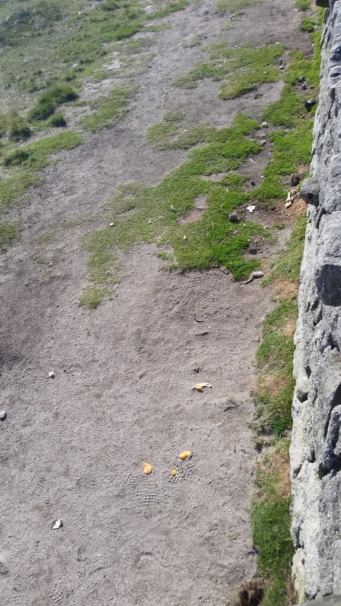 Finaghycleaning's tweet photo. Unfortunately when out for our walk   we noticed all this rubbish being dumped. If you can enjoy the view you can surely take your rubbish hone  #anabsolutedisgrace #mournemountains.  #takeyourrubbishhome @nmdcouncil @StephenNolan @barrabest @Mournelive @EnjoyTheMournes https://t.co/z1SThG8u6n