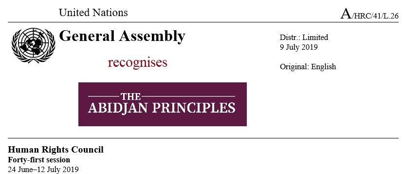 Game-changer: the member States of the @UNHumanRights Human Rights Council adopted at #HRC41 a historic resolution recognising the #AbidjanPrinciples. This is a strong political signal sent by States: they must provide quality public education, regulate private actors, limit PPPs