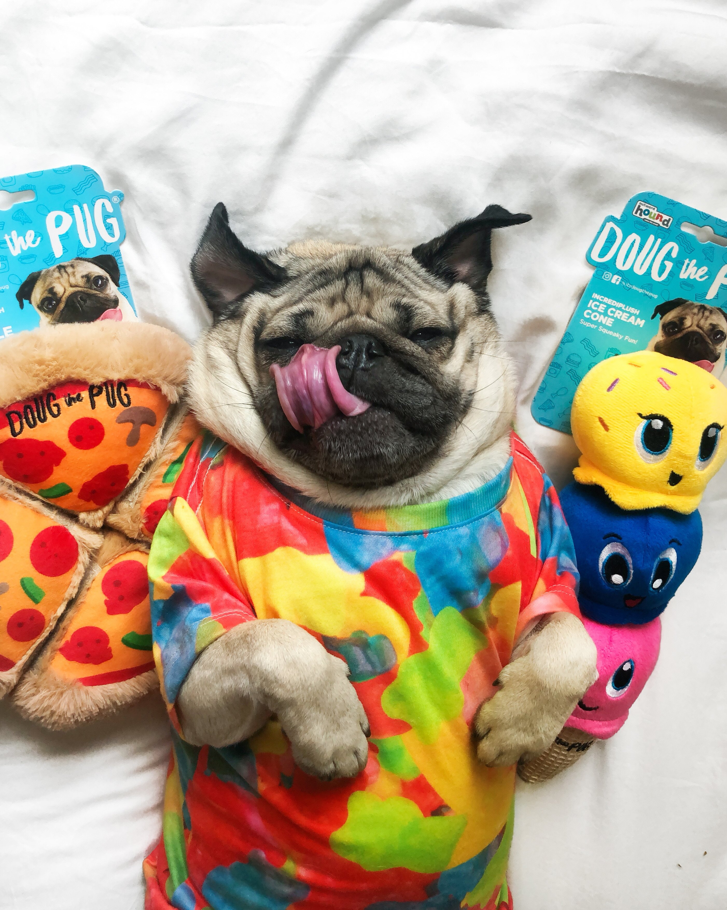 Doug the hotsell pug toy