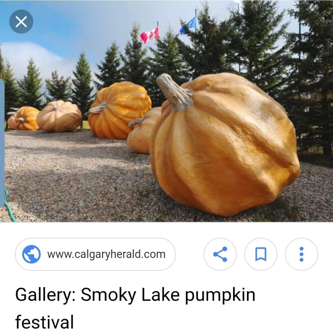 jason_oake's tweet photo. @theBVJ Smoky lake , AB . https://t.co/p9HTI8Qy0U