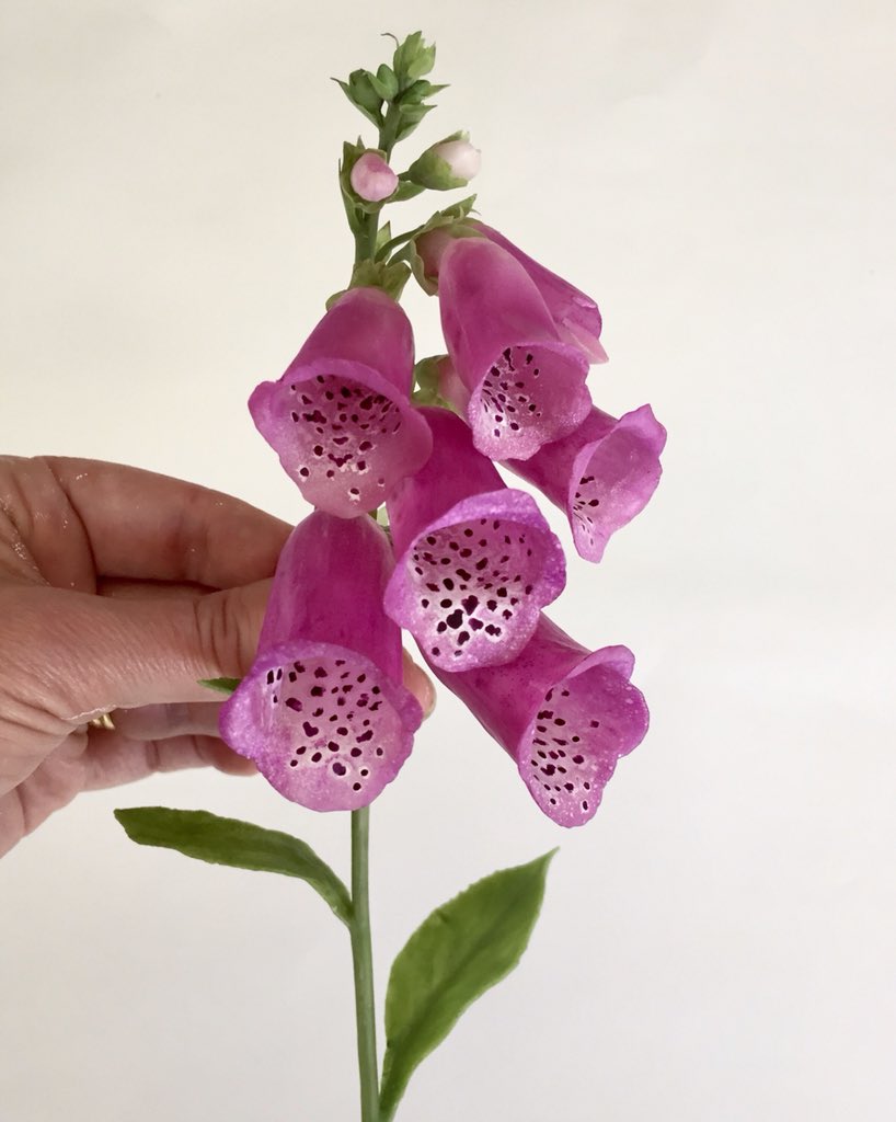 Today I’m finishing off my Digitalis #beeswax sculpture and getting ready for my solo summer exhibition @walesbotanic. Tues 23rd July to Sun 8th September. #sciart #wip #botanicmonday #wilflowers #cardiffartist