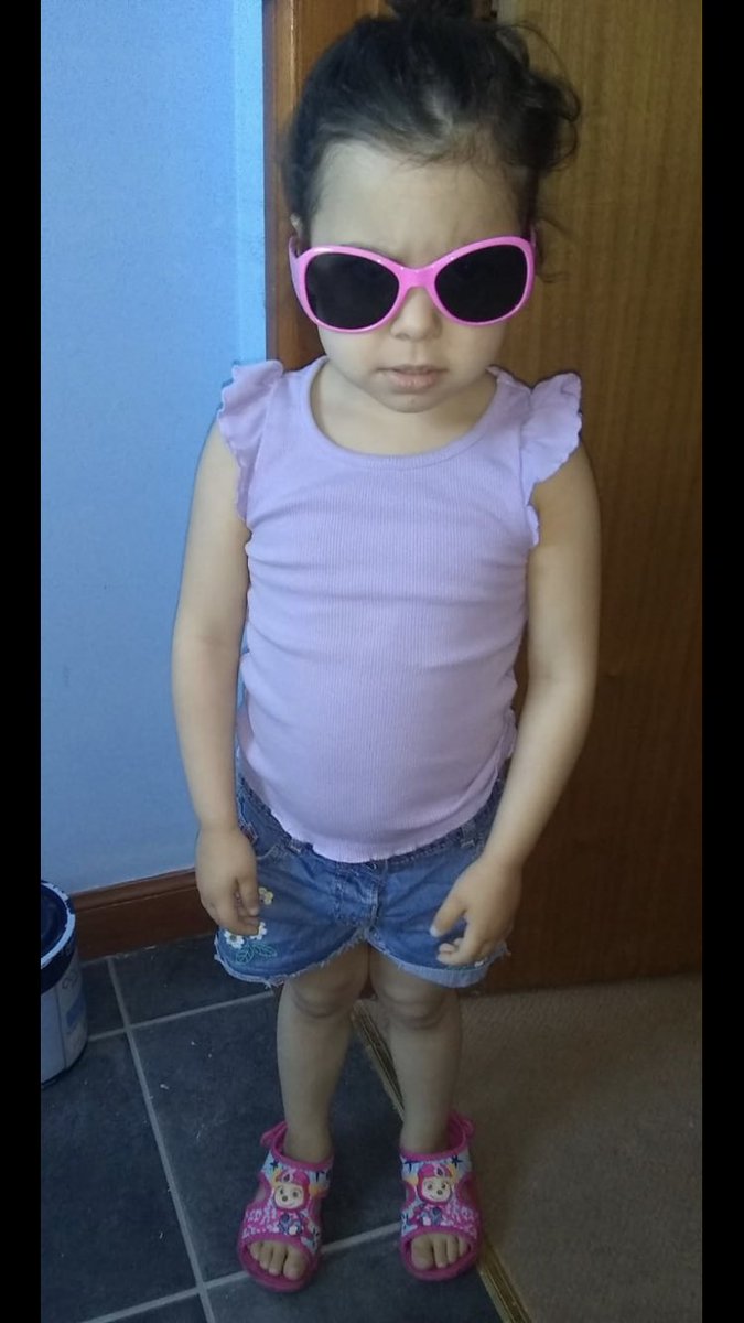 Megan MacIver tweet media