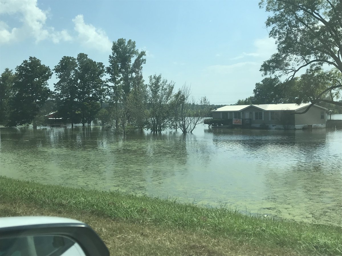 Daniel Crouch tweet media