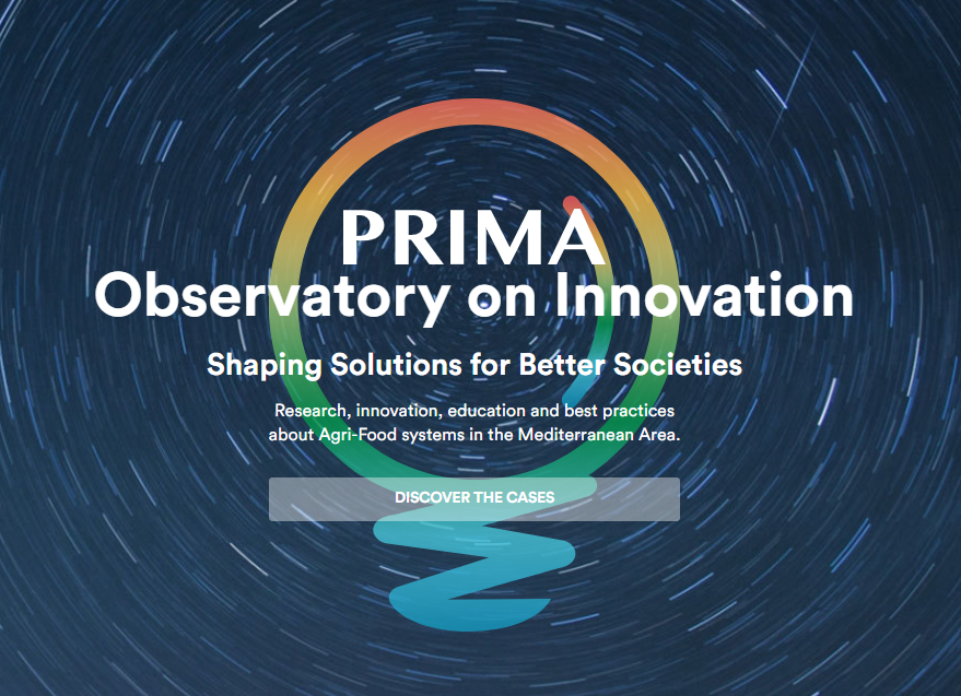 primaitaly's tweet photo. Presentato oggi report Oss.Univ-Imprese Fondaz #CRUI: https://t.co/Vah1eFnUvy
Tra le proposte per settore "Sistemi agrolimentari sostenibili" l'uso di #PrimaObservatory on Innovation #POI,piattaforma web che promuove R&I,formazione,best practices #agrifood
https://t.co/OnqkJYmnrA https://t.co/I7I59eK24e