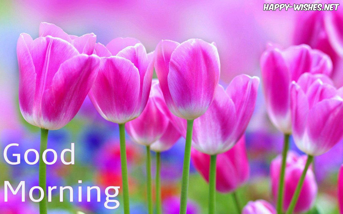 🌹JSK🌹@drbharatsingh18 GM #GOODMORNING FRIENDS #HOPE ALL FINE DR BHARAT #WISHING YOU ALL A LOVELY-DAY #KEEP SMILING #STAY BLESSED #CHEERS 🌹JSK🌹