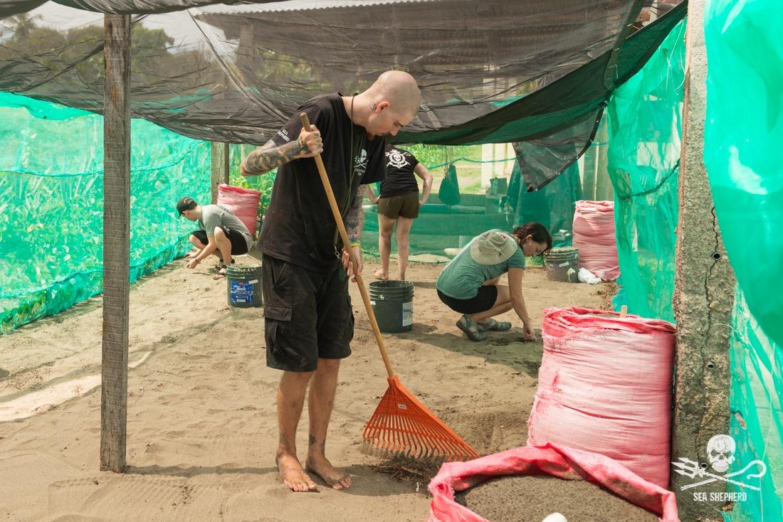 Operation Jairo tweet media