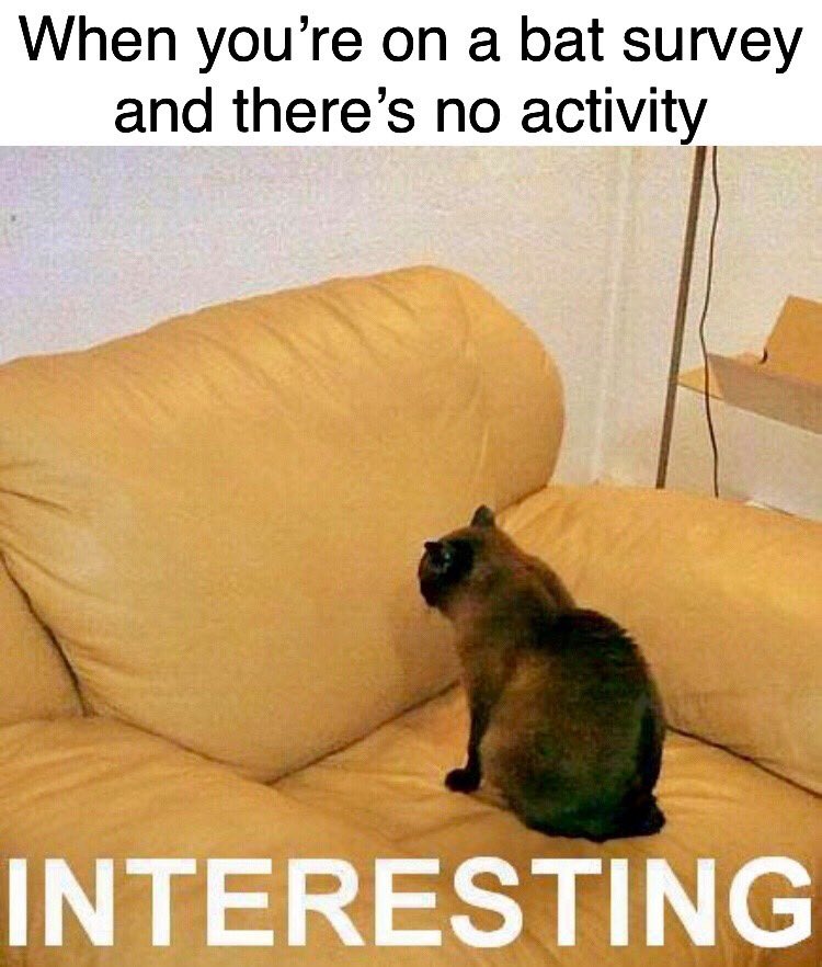 ecologistprobs's tweet photo. https://t.co/2esft9gR7h