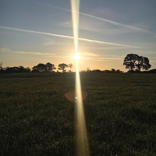 healwithinu's tweet photo. Nature has a powerful effect on the mind and body and really helps create a sense of calm and gratitude for what you have in life.⭐️❤️
#naturelovers #mentalhealth #mentalhealthblogger #anxiety https://t.co/CYcx4jUecv https://t.co/a95Ki5DczB