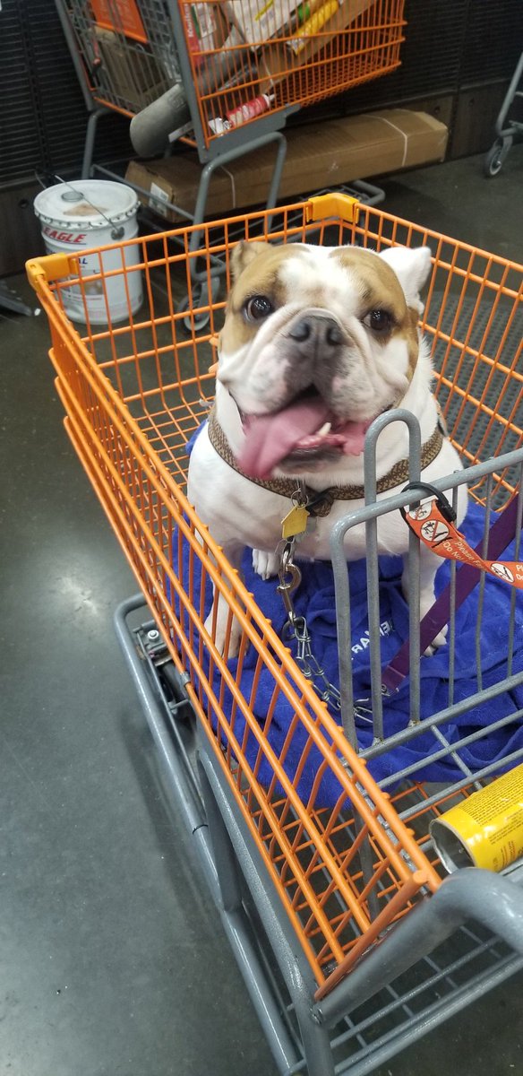 Ms.Winnie came to see us today. #SilverlakeHomeDepot