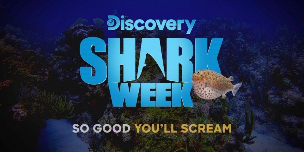MingleMediaTV's tweet image. Shark Week #NuffSaid #ProgrammingSchedule #DeetsOnNewShows #DiscoveryChannel #Video redcarpetreporttv.com/2019/07/15/sha…