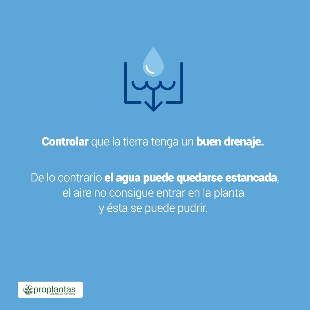 Proplantas tweet media