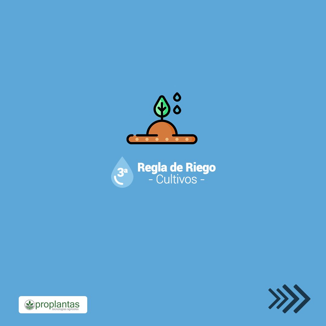 Proplantas tweet media