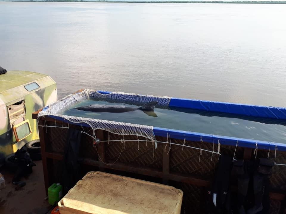 Sea Shepherd Op 404 tweet media