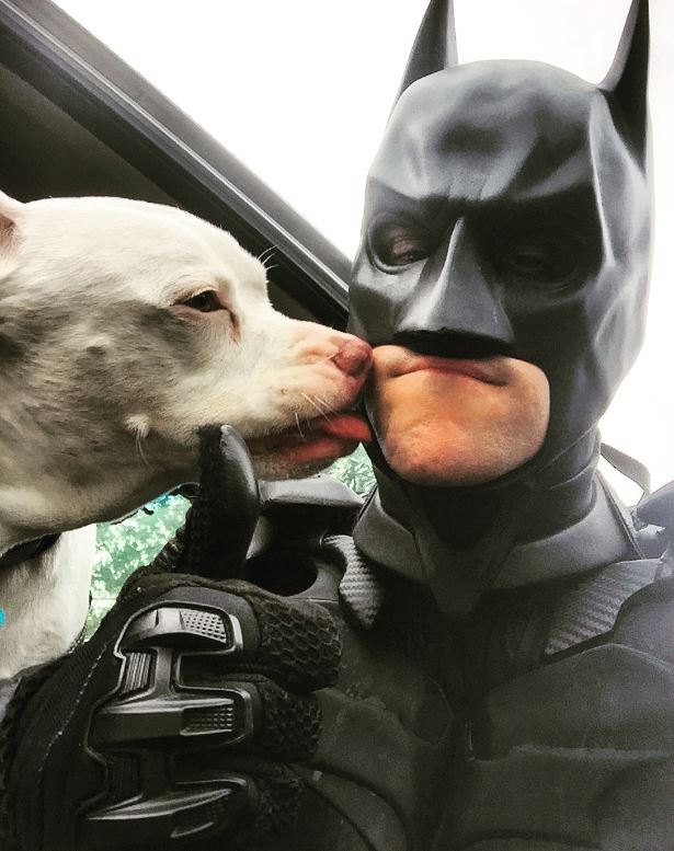 "To do good deeds. To spread positive vibes, bring joy to people and rescue as many animals as I can."
~ Chris Van Dorn, 'The Batman' who rescues animals from death row
mnatu.re/2lAvTUp