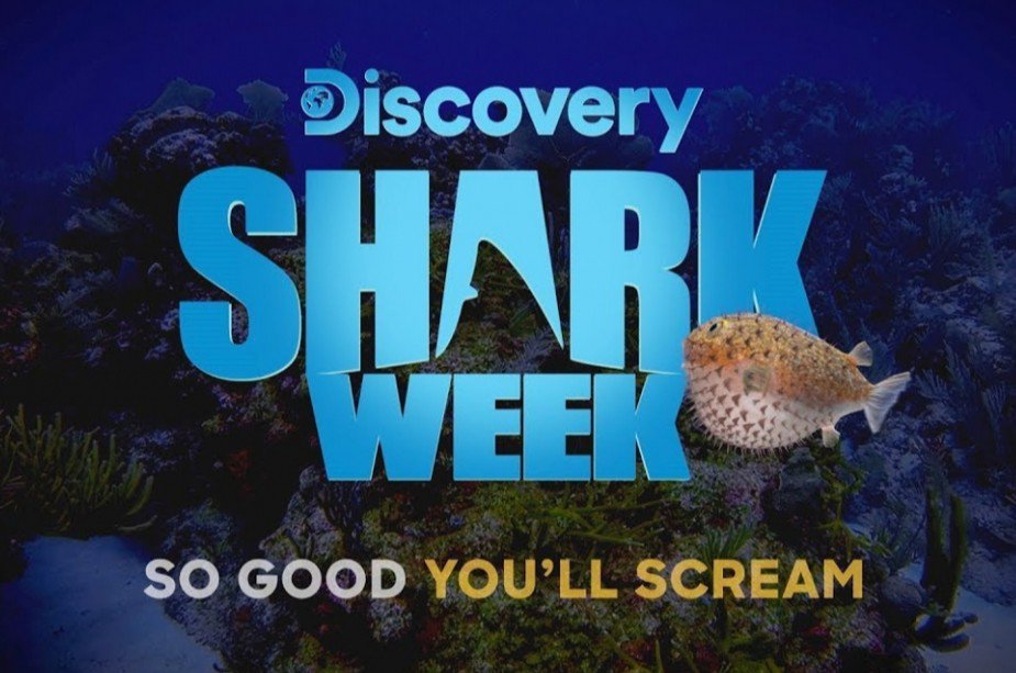 PicheStephanie's tweet image. Shark Week #NuffSaid #Video #ProgrammingSchedule #DeetsOnNewShows #DiscoveryChannel #SharkWeek

Get the details here: redcarpetreporttv.com/2019/07/15/sha…
