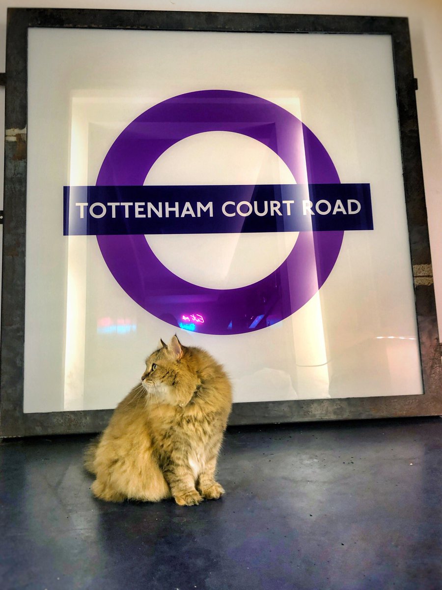 catmorley's tweet photo. Not sure how Tom managed to magic up a sign from a station that hasn’t opened yet but it did take 4 men to get it up the stairs!

 @TfL #transportforlondon #crossrail #londonunderground #crossrailsign #roundel #elizabethline #tfl #underground #tube #tubesign #tottenhamcourtroad https://t.co/BSjeZ700Hx
