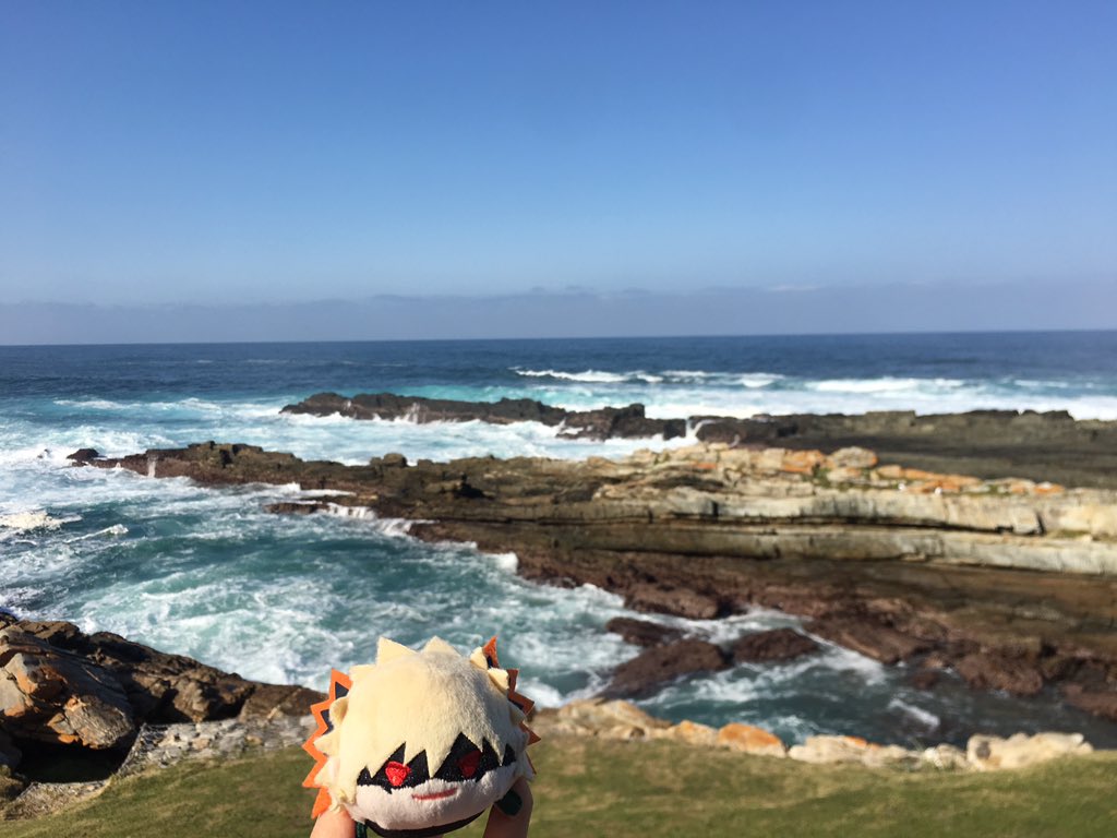 VwVneer's tweet photo. 🌊✨
#happyholidays #southafrica #holiday #tourist #kacchan #mochimascot #もちもちマスコット #excited #Travel #July15th #picturebyme #pictureoftheday #ヒロアカ #heroaca_a #Veneersinsouthafrica #tsitsikammanationalpark #stormsrivier https://t.co/R3tIB7MXKC