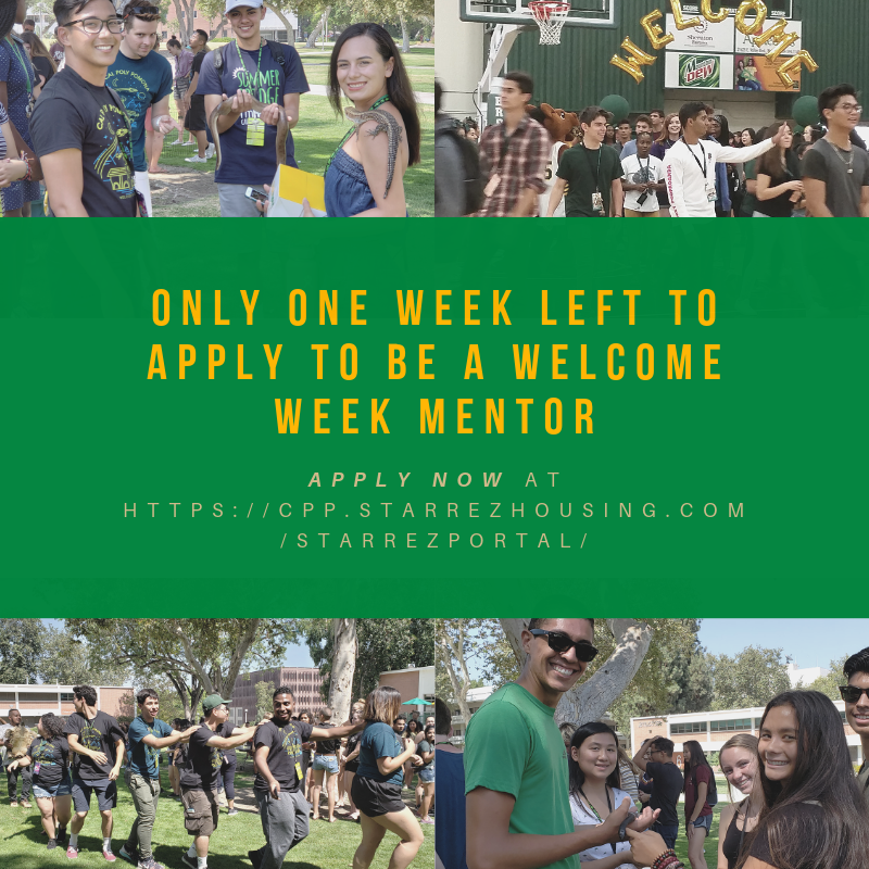 CPPWelcomeWeek's tweet image. Don't forget to apply to be a mentor this summer. The deadline is approaching soon! See you there!🥳
