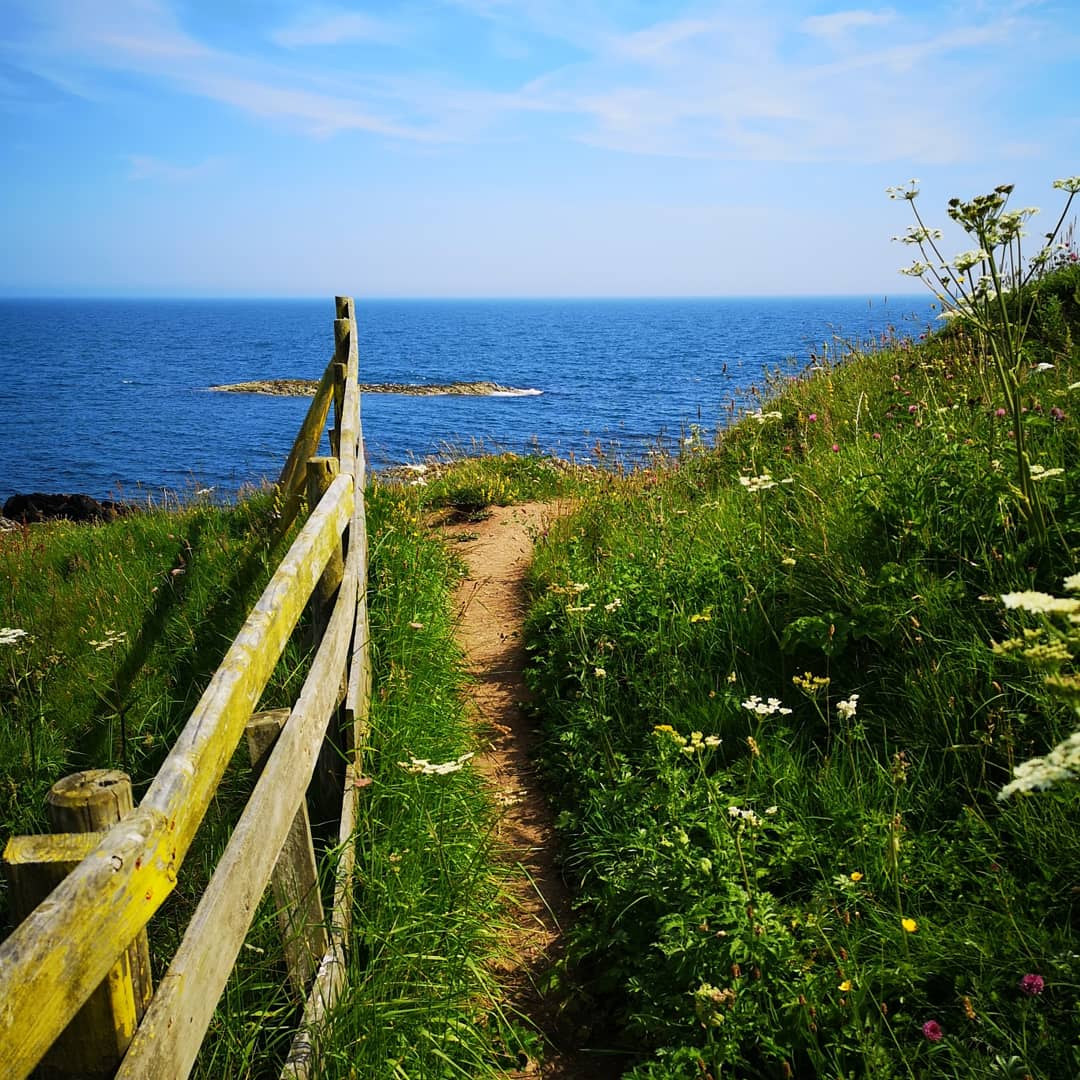77PaulOShea's tweet photo. Ballyhornan to St Patrick's Well and Back
#Ballyhornan #CoDown #CoastalWalks #Portnacoo #Sheeplandharbour #StPatricksWell #LecaleWay https://t.co/pDpHaaXl10