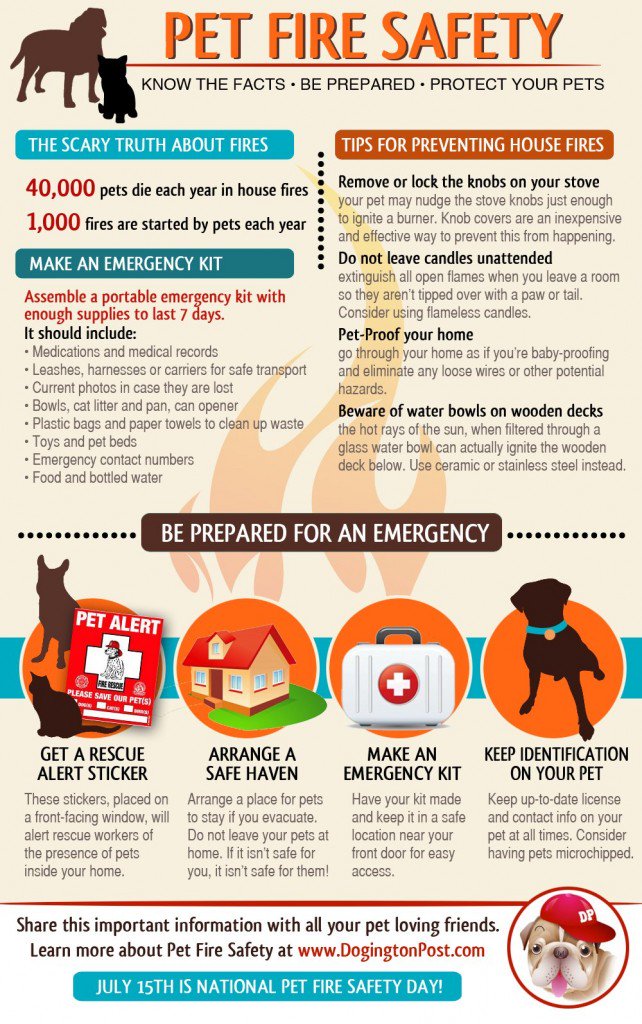 Tangi911's tweet photo. Today is National Pet Fire Safety Day. Let's keep our pets safe!! #weloveourpets #emergencyprepardness https://t.co/giUpmIEuvL
