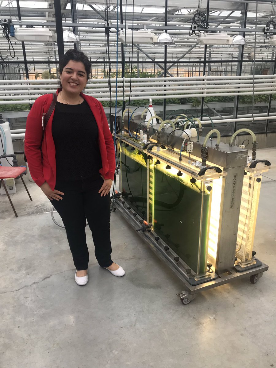 KazbarA's tweet photo. First day of the 3d Edition Course: Microalgae Biorefinery, Wageningen University and Research. It was a pleasure sharing algosource activities: overview of microalgae biorefinery and Market for industries. Thank you @CorjanvdBerg ! @algosource @AlgaePARC  @WUR @MagnificentAlg1 https://t.co/rb6pQAaiPX