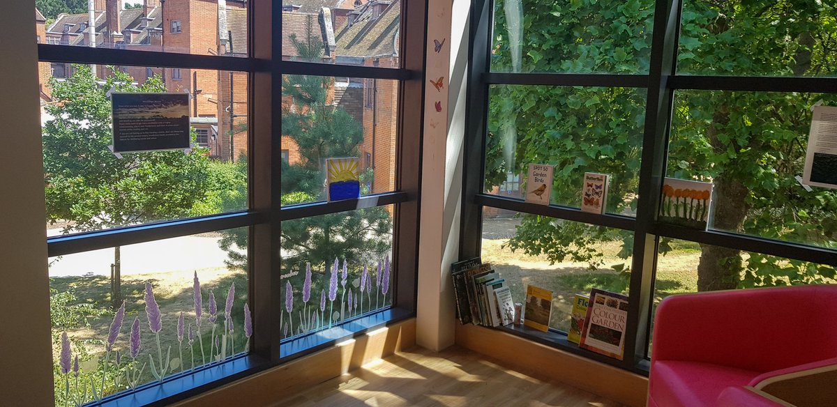 Seaview ward (AAU) tweet media