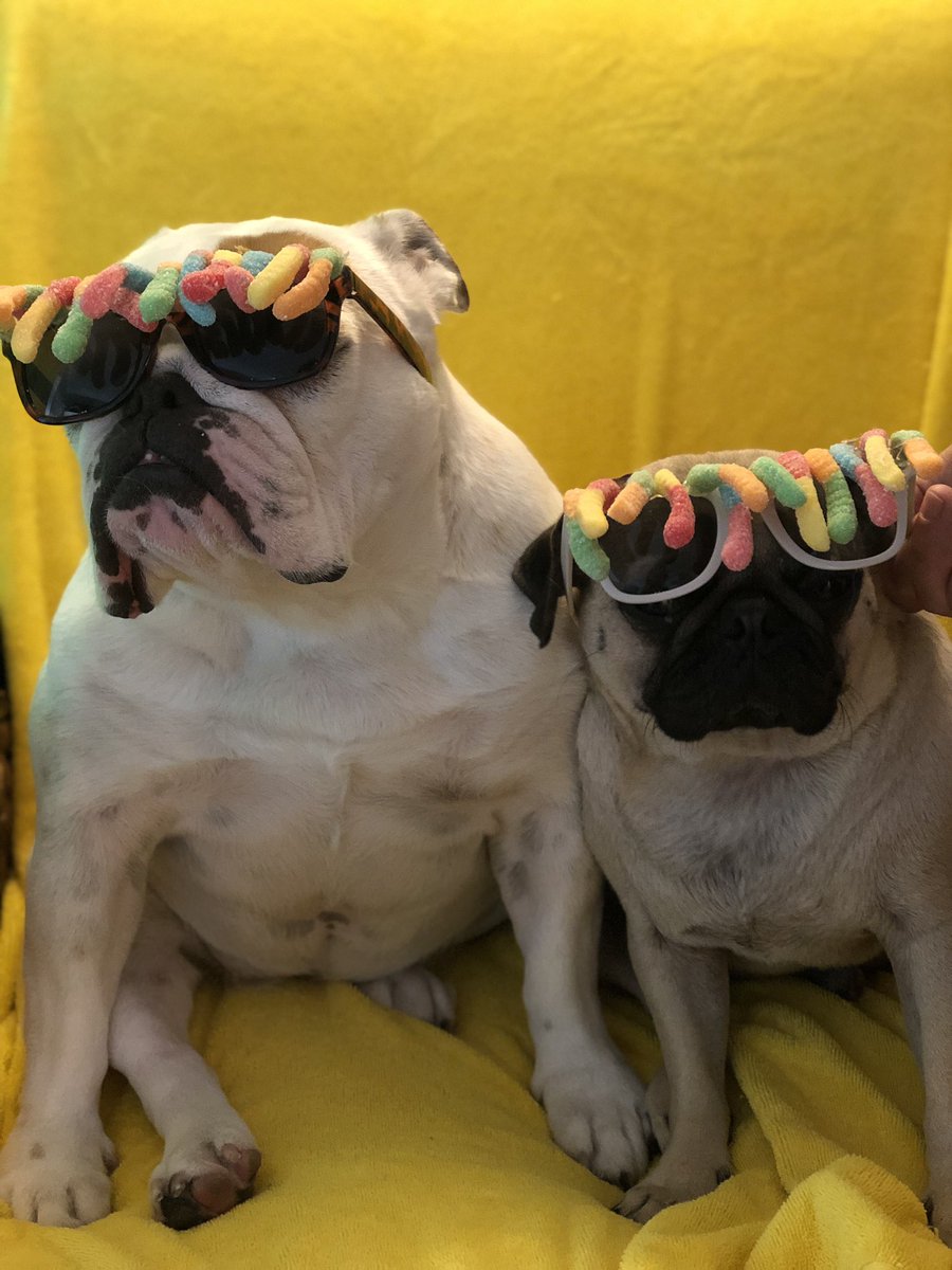 Gummyworms Hashtag On Twitter