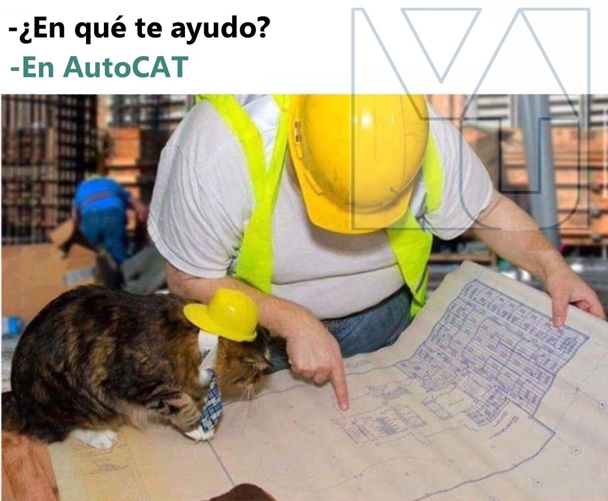 VectoresUrbanos's tweet photo. 😂🐱
#ArquiPost #Arquitectos #Arquitectura #ArquiLife #ArquiLove #ArquiLovers #Architecture #ArquiMeme #ArquiHumor #MemesDeArquitectura #autoCAT #CAT #gato #arquiCAT #cats #gatos #pet #friendly #petfriendly #pets #gatito https://t.co/5xRMQx3ISx