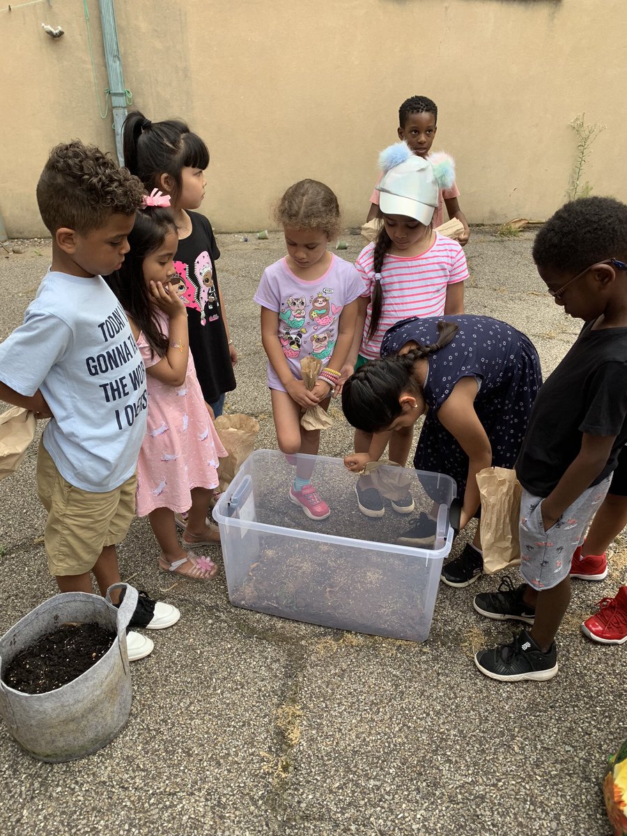 TeaneckWhittier's tweet photo. 🐛 🍃 🦗 Whittier’s Rising 1st graders are having a fun time learning about bug and plant ecosystems in our summer program. 🐛 🍃 🦗 https://t.co/t0ptnrYdi4