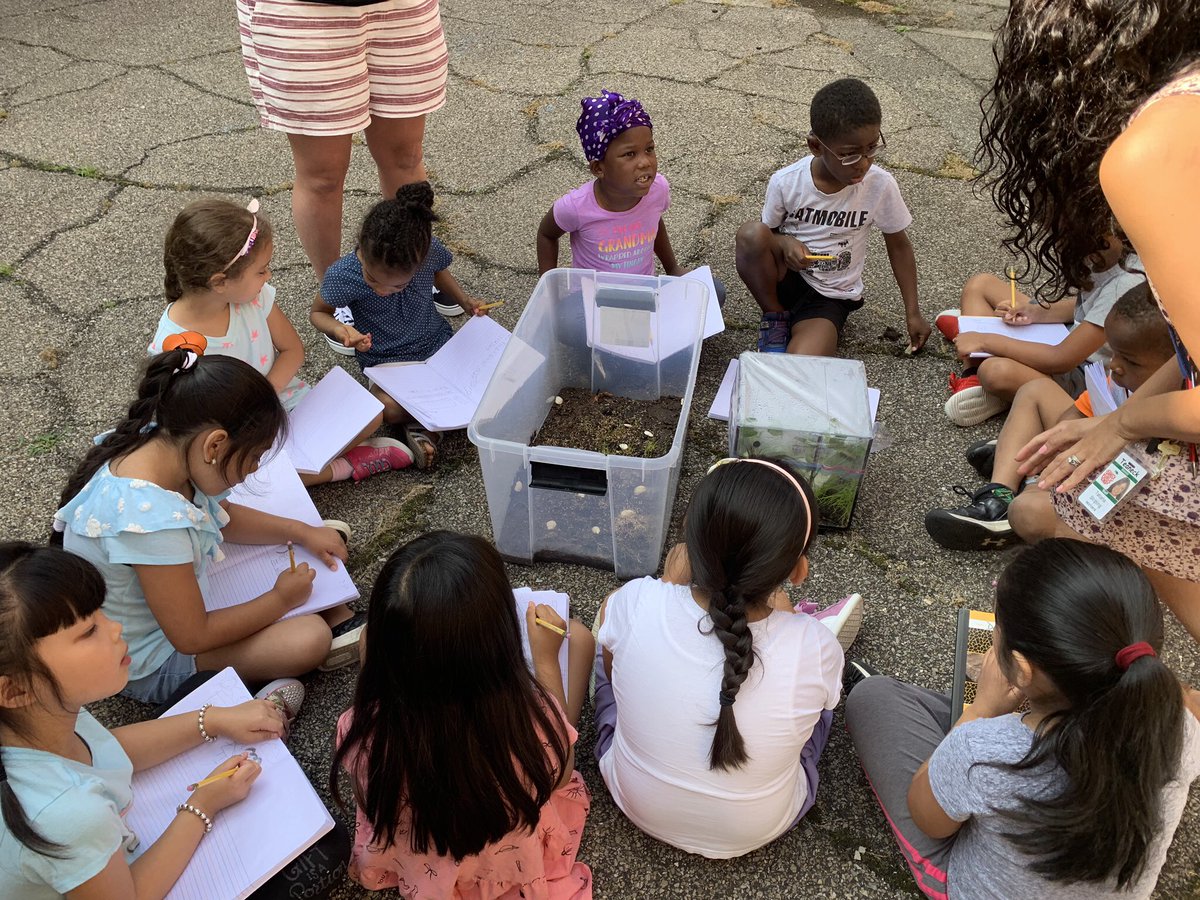 TeaneckWhittier's tweet photo. 🐛 🍃 🦗 Whittier’s Rising 1st graders are having a fun time learning about bug and plant ecosystems in our summer program. 🐛 🍃 🦗 https://t.co/t0ptnrYdi4