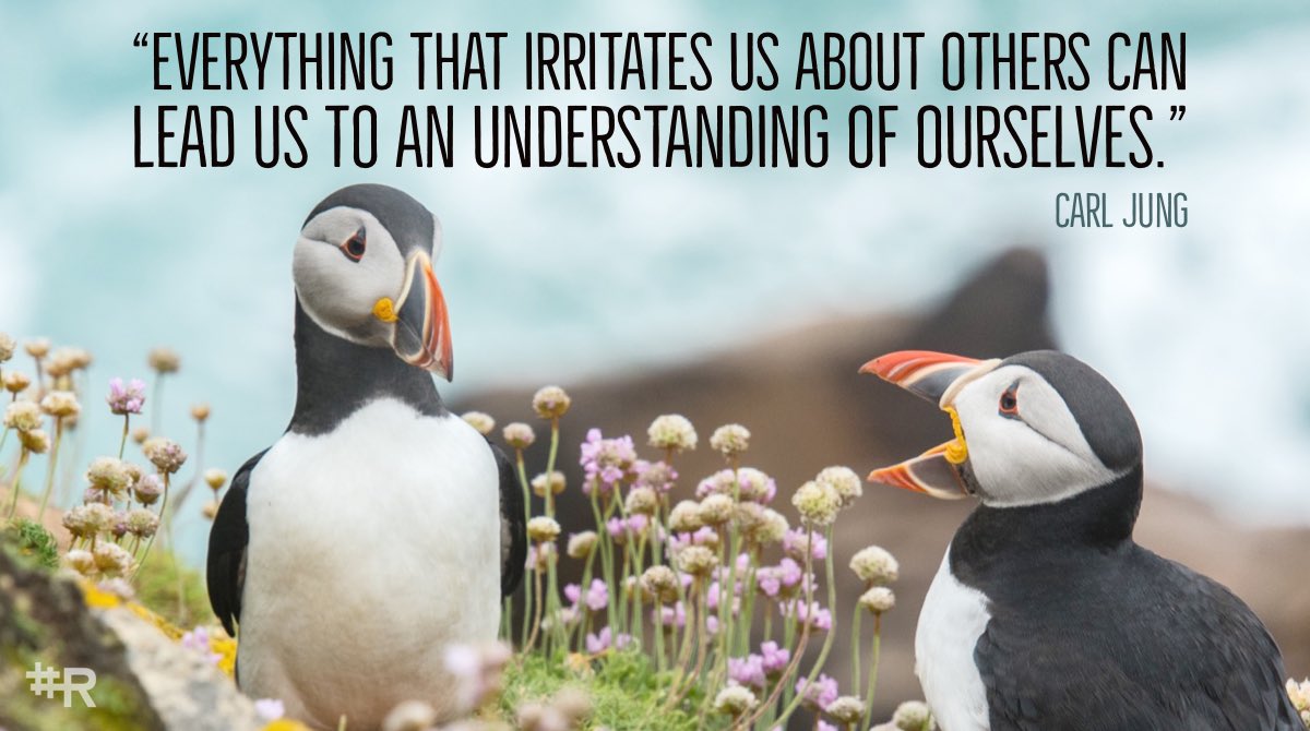 Dr. Anthony Rotolo tweet media