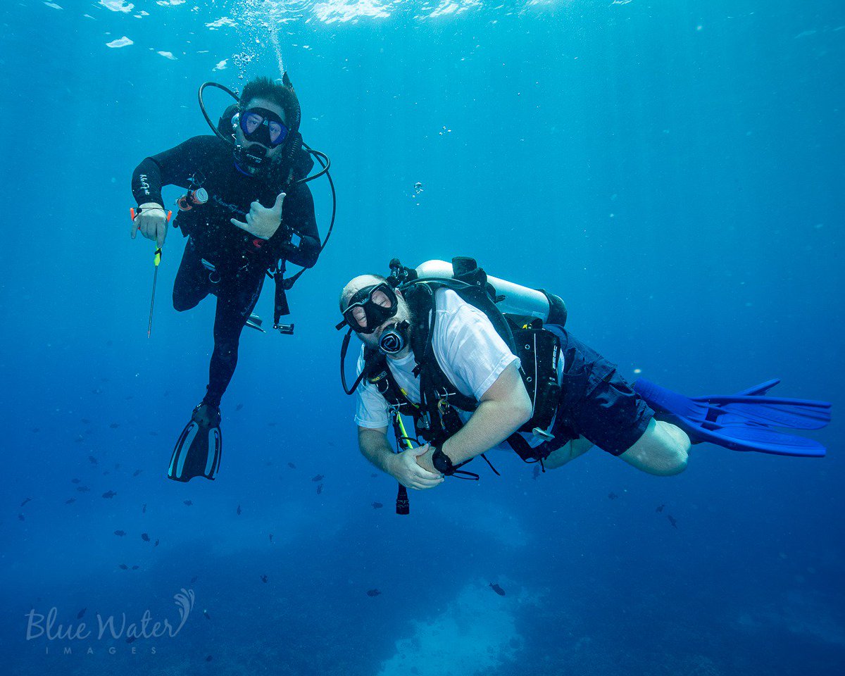 tradney's tweet photo. I hope everyone wished @sqldiver a happy birthday over the weekend. Happy Birthday buddy. Thanks for having my back on 70 dives! #sqlscuba #sqlbirthday https://t.co/Sujv0Q9OIE