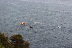 Ver imagem no Twitter