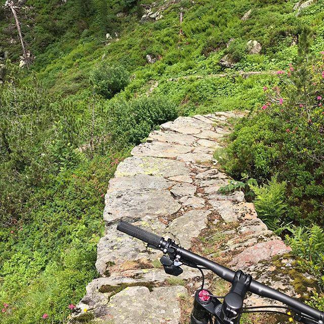 Ian_Pyott's tweet image. Who build this!!! It is like a middle age high way through the mountains. Some parts super slik and steep and others like this when you can just enjoy. #sustenpass #mtb #downhill #temposport #sramaxs ift.tt/2JxHv46 ift.tt/1qCVNQo
