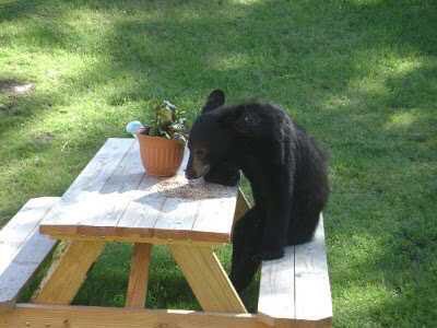 Cuando me meto a esta cuenta y no hay nadie: