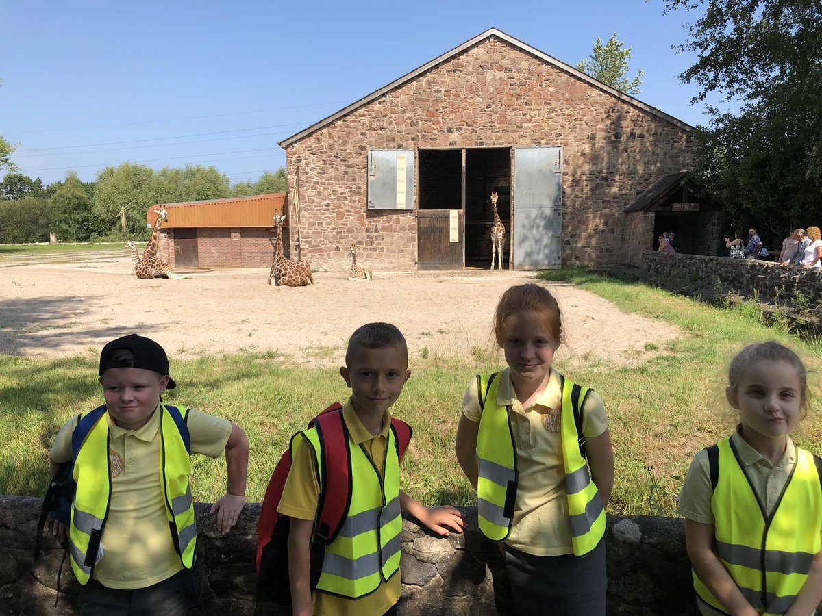 ButtonLane_'s tweet image. #3SP @LearnatCZ how tall are these giraffes!!!?