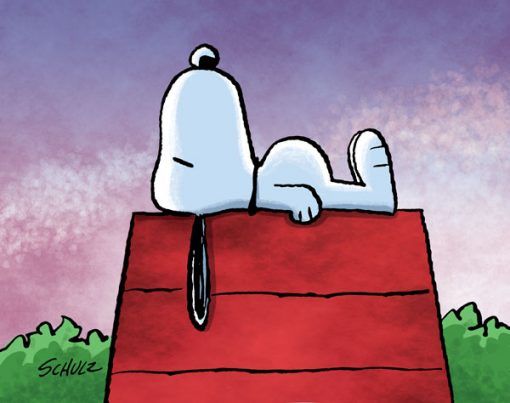 sleeping snoopy on doghouse