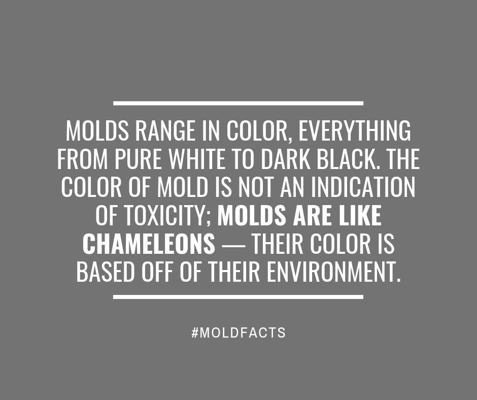 #DidYouKnow #MoldFacts #NorthwestAbatement