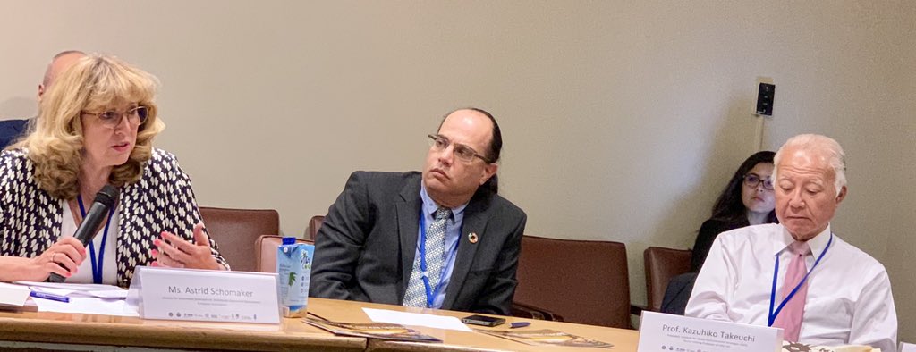 doleyt's tweet photo. #EU Director of SD: ‘#Nature_based #solutions are #critical to achieve the #SDGs and facing critical #global_env_challenges’| Calls for strong robust post-2020 global bd targets #HLPF2019 #COMDEKS event https://t.co/BBWmfAy9bU