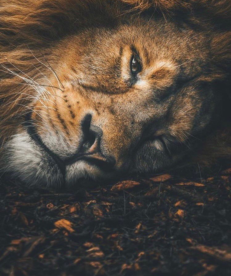 “I never lose. I either win or learn.” -Nelson Mandela #MorningJah