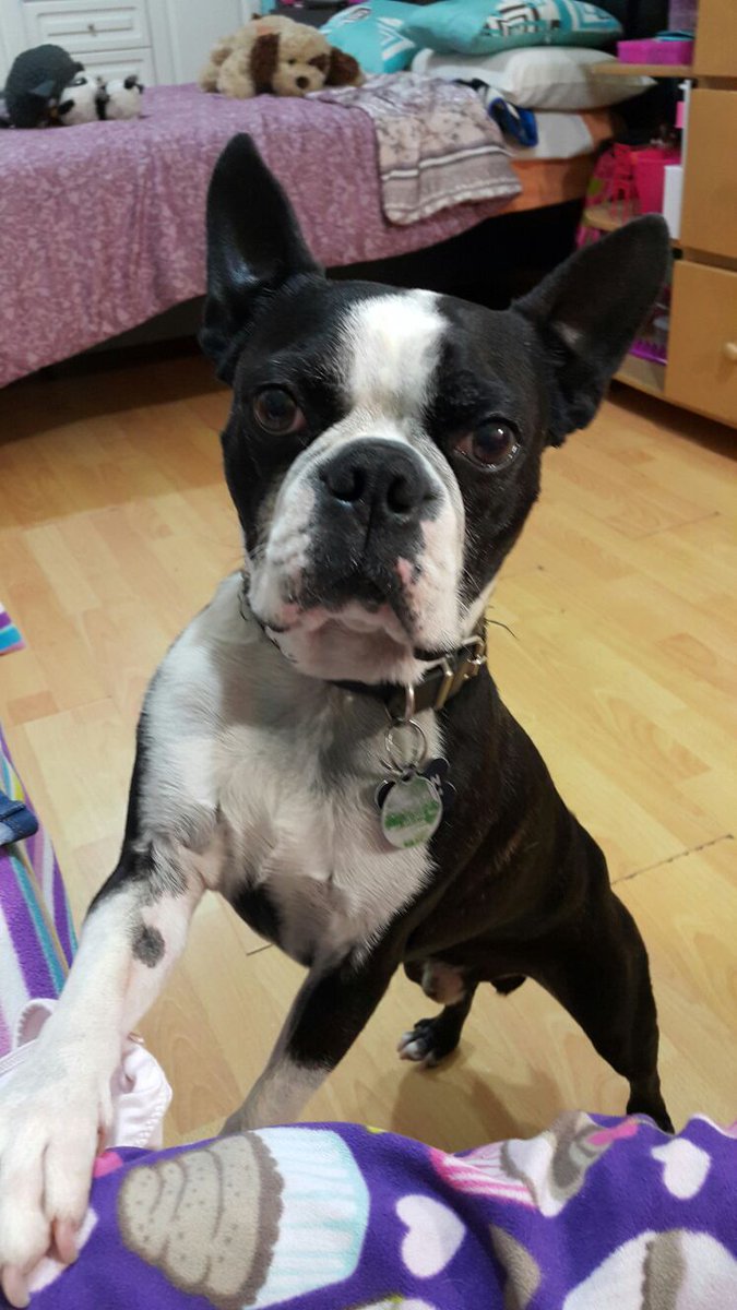 Jaime Vega Torres. tweet media