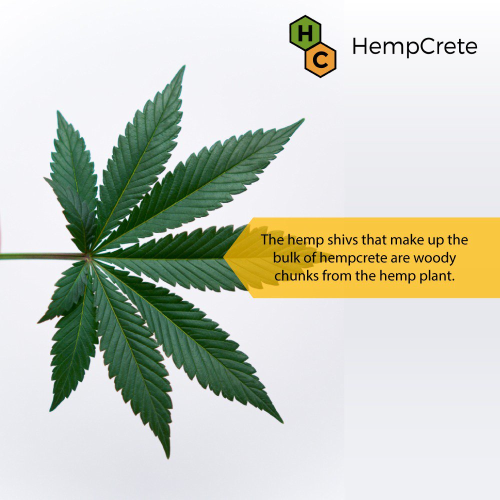 CreteHemp's tweet image. Every part of this plant is used and made productive. Easy to grow and leaves no carbon footprint.
Visit - hempcretehomes.com for more
.
.
#hempcrete #hempcretebuildings #insulationmaterial