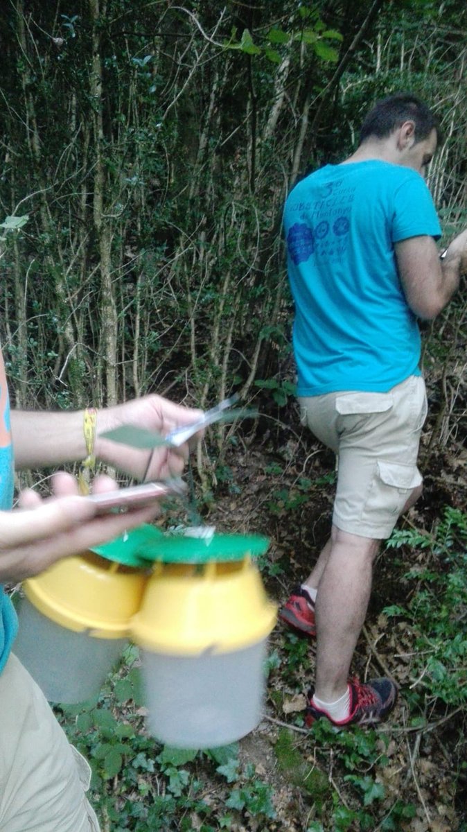 Avui hem penjat trampes a Ribes de Freser